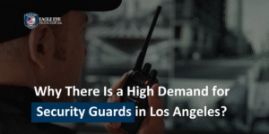 Why There Is a High Demand for Security Guards in Los Angeles?