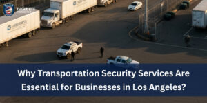 Transportation Security Services