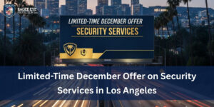 December Offer on Security Services