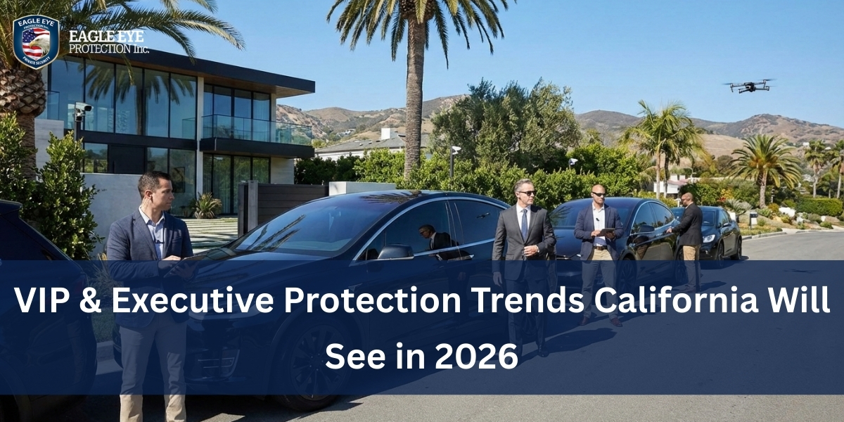 VIP & Executive Protection