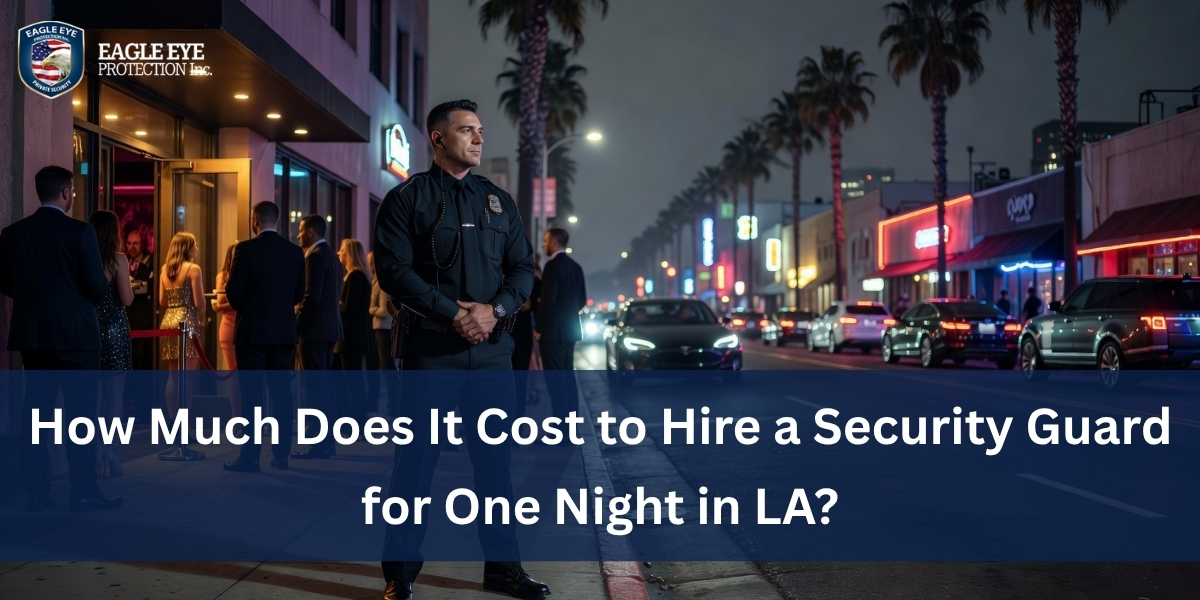 Security Guard for One Night in LA